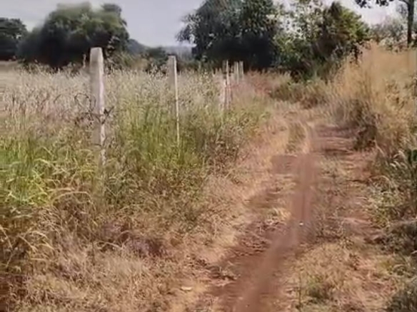 Red soil Agriculture Land