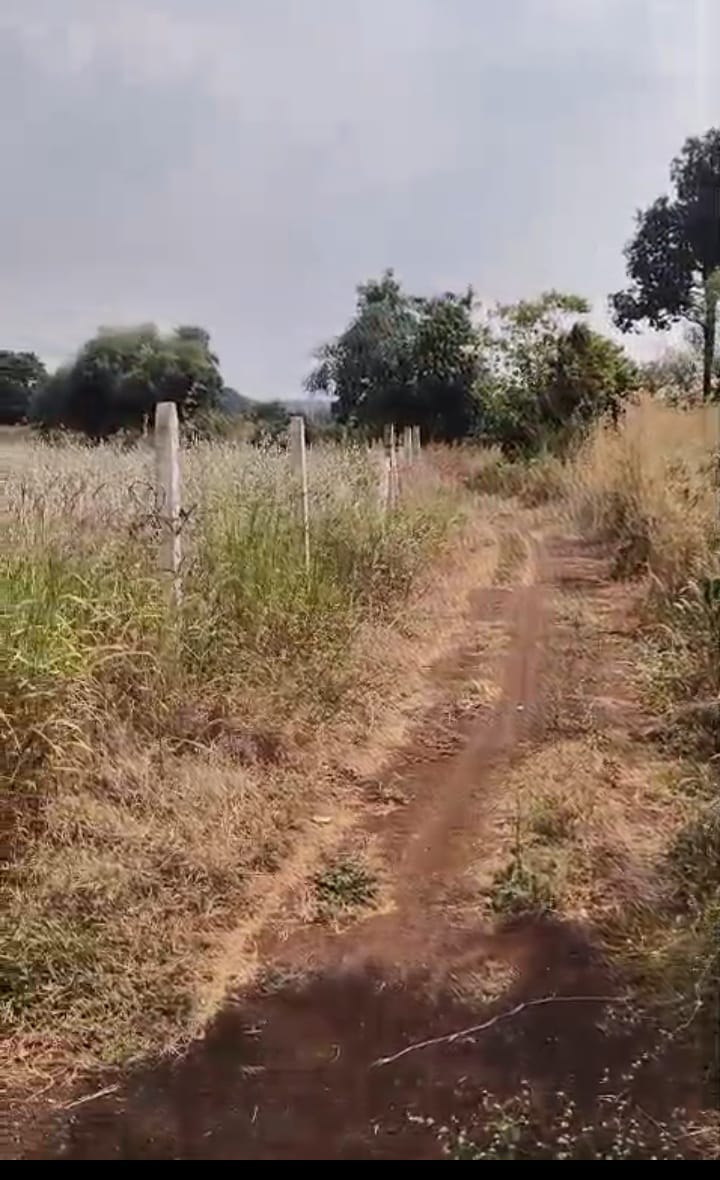 Red soil Agriculture Land