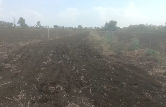 3 Acres Black Soil Agriculture Land