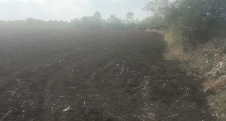 3 Acres Black Soil Agriculture Land for Sale in Raikode Mandal, Sangareddy District, Telangana – ₹35 Lakhs/Acre | BHOOVIX BX-33906
