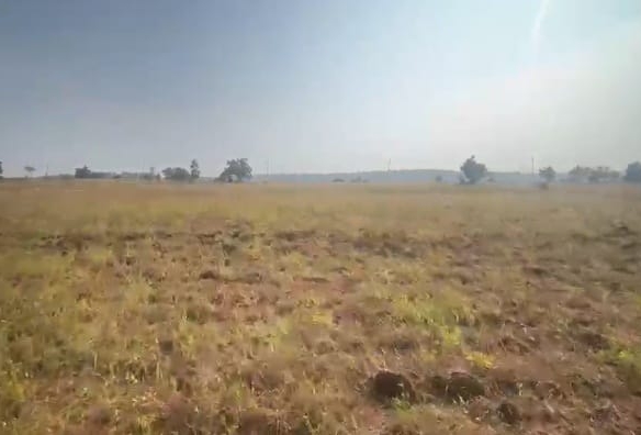Black Soil Agriculture Land