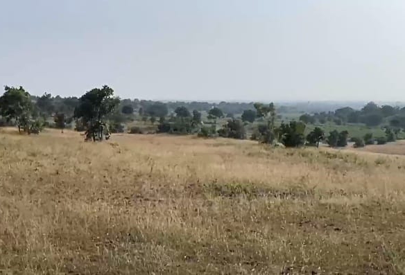 Black Soil Agriculture Land