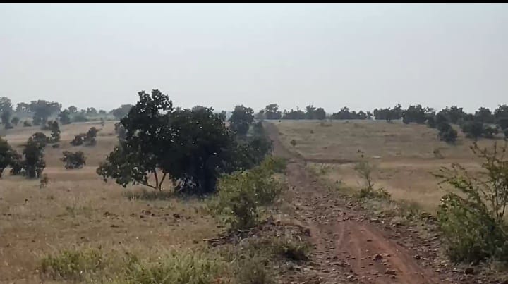 4 Acres Black Soil Agriculture Land for Sale at ₹17 Lakhs Per Acre in Nagalgidda Mandal, Sangareddy District, Telangana | BHOOVIX BX-33958