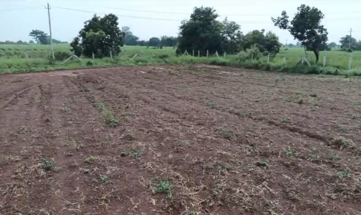 4 Acres Red Soil Land