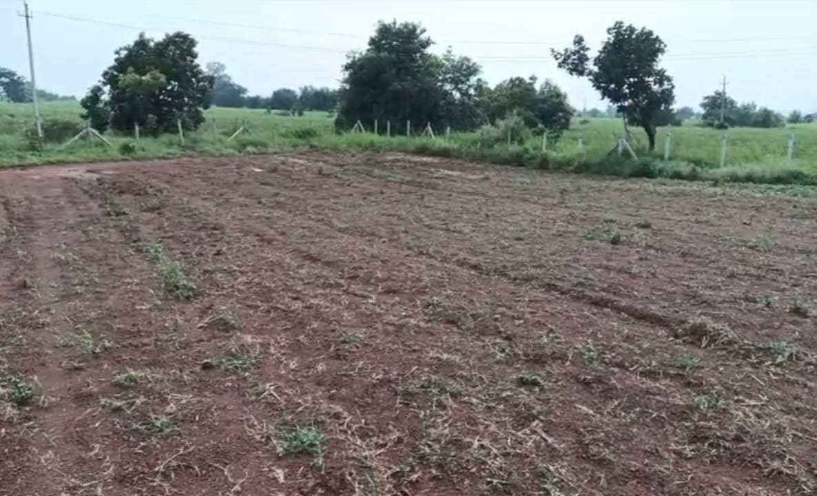 4 Acres Red Soil Agriculture Land for Sale at ₹18 Lakhs Per Acre in Humnabad Taluk, Bidar District, Karnataka | BHOOVIX BX-33968