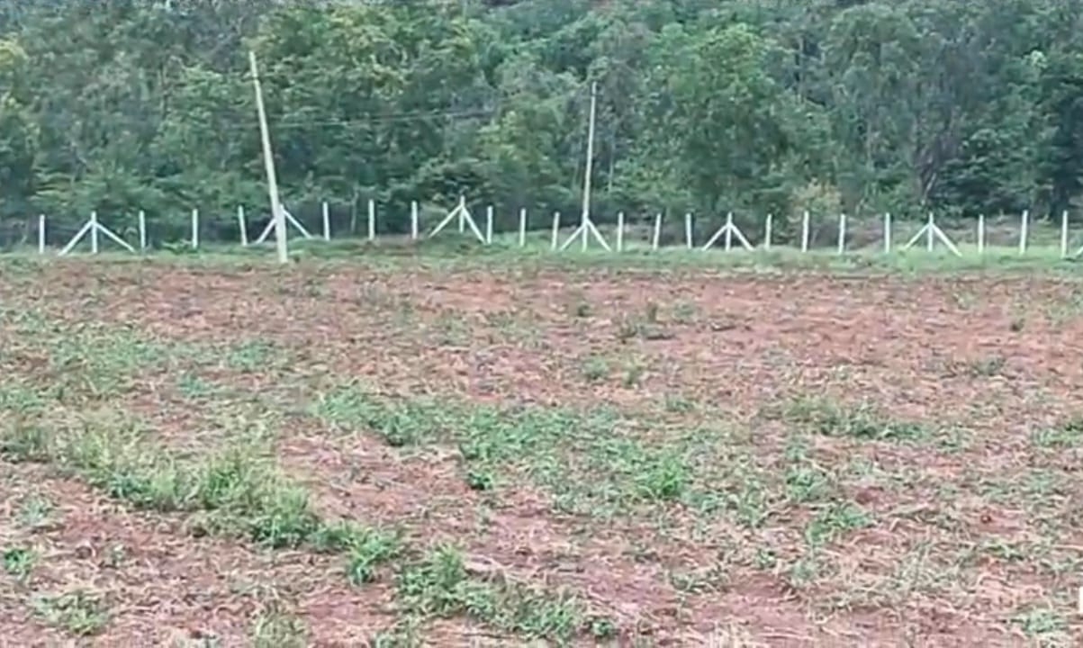 4 Acres Red Soil Agriculture Land for Sale at ₹18 Lakhs Per Acre in Humnabad Taluk, Bidar District, Karnataka | BHOOVIX BX-33968