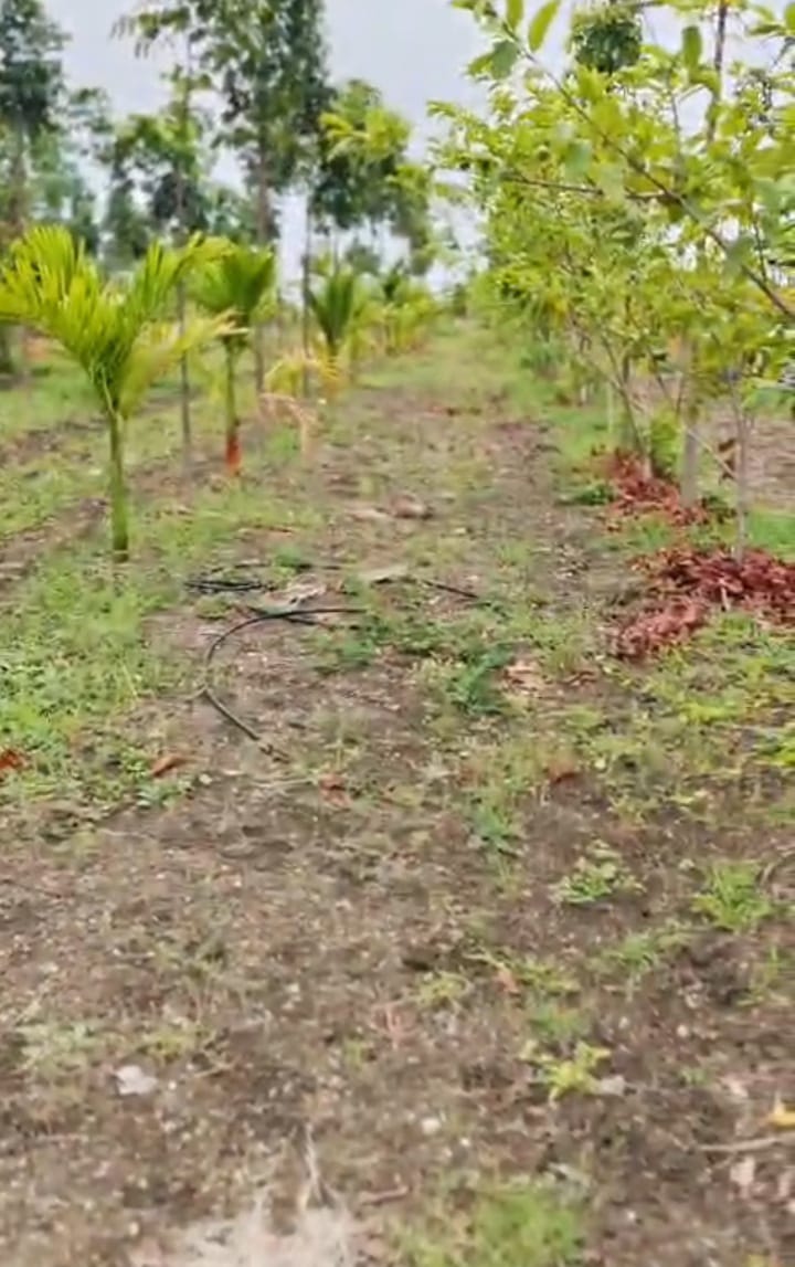 10 Acres 10 Guntas Premium Integrated Farm Land for Sale at ₹80 Lakhs Per Acre in Gadag District, Karnataka | BHOOVIX BX-33881