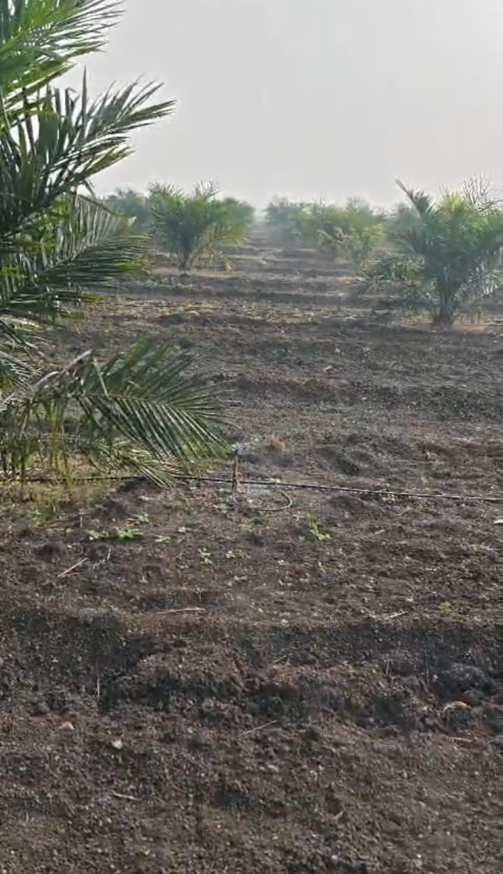 10 Acres 10 Guntas Premium Integrated Farm Land for Sale at ₹80 Lakhs Per Acre in Gadag District, Karnataka | BHOOVIX BX-33881