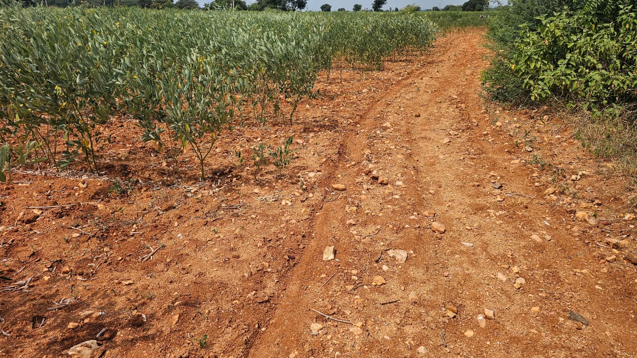 6.77 Acres Fertile Red Soil Agriculture Land for Sale at ₹6.50 Lakhs Per Acre in Devanakonda Mandal, Kurnool District, Andhra Pradesh | BHOOVIX BX-34081