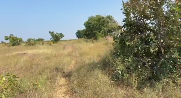 8 Acres Mixed Soil Agriculture Land for Sale at ₹7.50 Lakhs Per Acre in Chincholi Taluk, Kalaburagi District, Karnataka | BHOOVIX BX-34052
