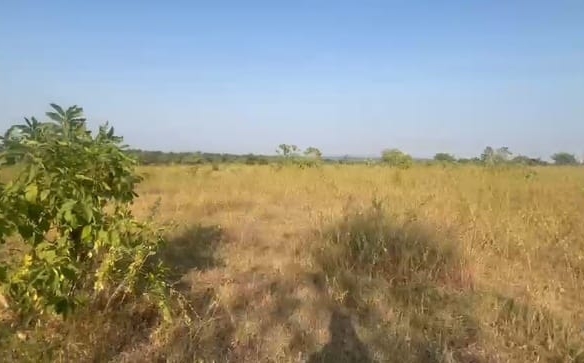 14 Acres Black Soil Land