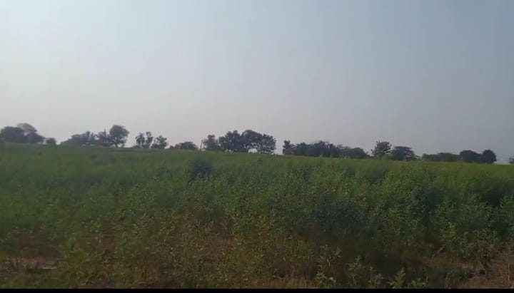 3 Acres 35 Guntas Kagina River Attached Agriculture Land for Sale at ₹18 Lakhs Per Acre in Sedam Taluk, Kalaburagi District, Karnataka | BHOOVIX BX-34071