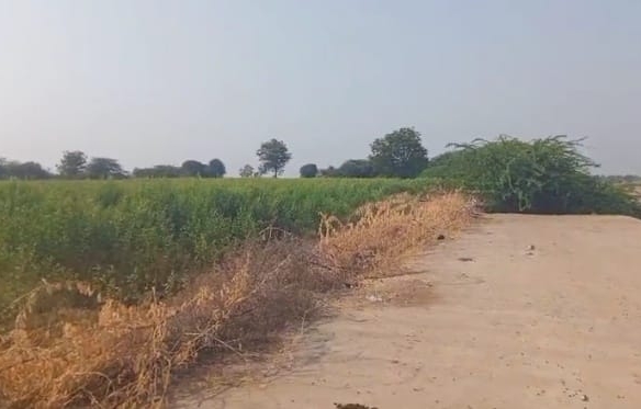Kagina River attached Land