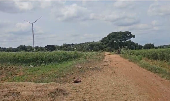 Red Soil Agriculture Land